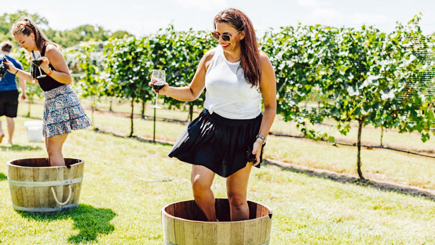 Grape Stomp